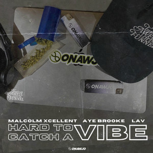 Hard To Catch A Vibe (Explicit)