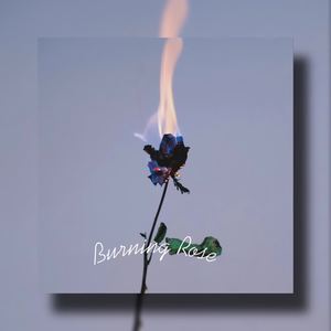 Burning Rose