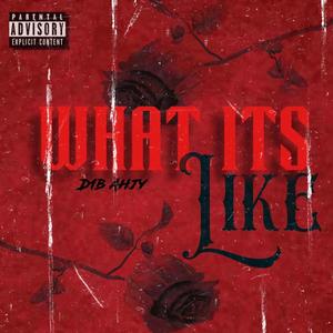 What Its Like (Explicit)