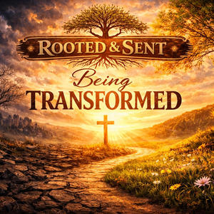 Being Transformed!