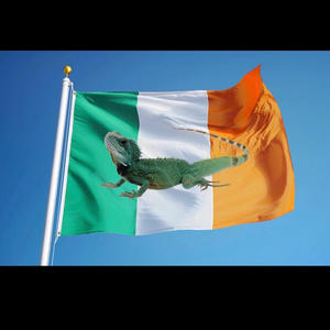 Irish Lizard (feat. Peyton Takacs & cany5n) (Explicit)