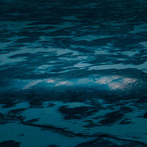 Pictures from Above the Sky