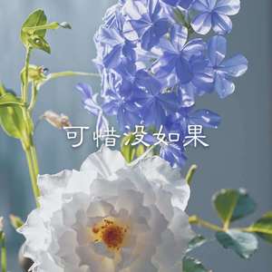 一生所爱-阳阳&圈妹