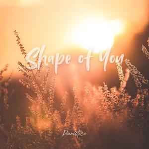 shape of you (Piano Version)