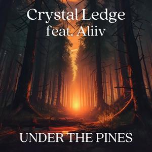 Under The Pines (feat. Aliiv)