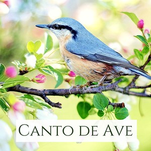 Sanar el Alma