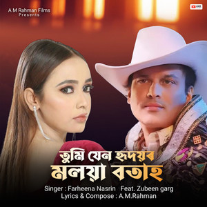 Hridoyor Moloya Botah