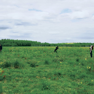 Сейчас самое время