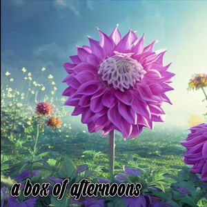 a box of afternoons