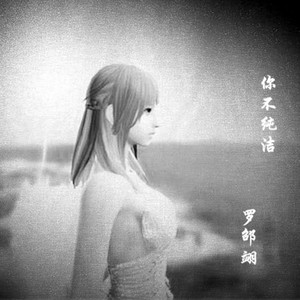 你不纯洁