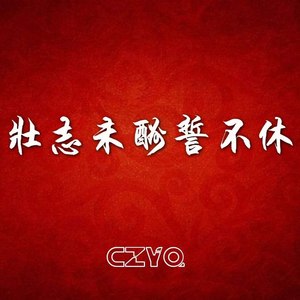 壮志未酬誓不休