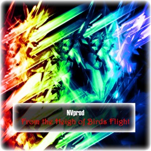 From The Heigh Of Birds Flight (Original Mix)