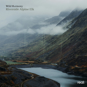 Riverside Alpine Elk