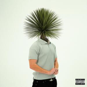 YUCCA (Explicit)