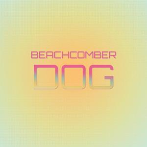 Beachcomber Dog