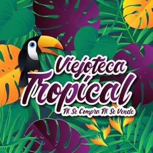 Viejoteca Tropical / Ni Se Compra Ni Se Vende