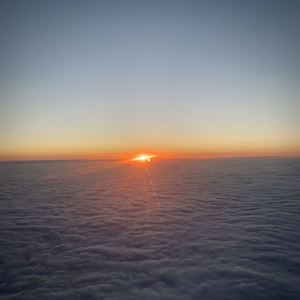 is this what you dreamed of