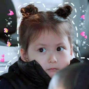 落花情 (COVER版)