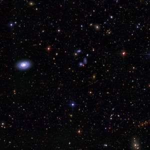 Feel Alive (Reprod. Nsb Charlyy)