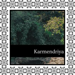 Karmendriya