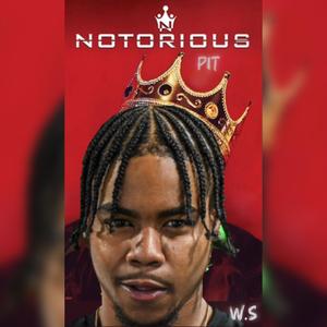 Notorious P.I.T (Explicit)