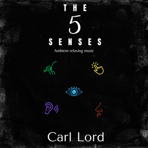 The 5 Senses