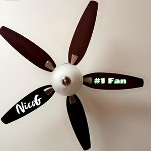 #1 Fan (Explicit)