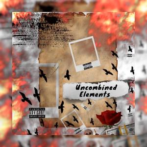 Uncombined Elements (Explicit)