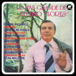 Homenaje A Las Malvinas