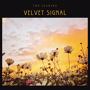 Velvet Signal