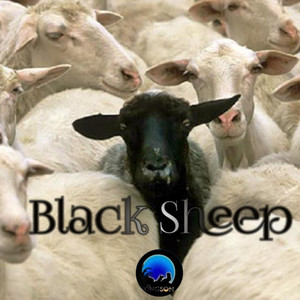 Black Sheep