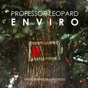 Enviro (Sambalakadeyalebada)