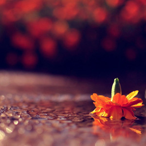 午夜的地铁 (Demo)