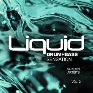 Liquid Drum & Bass Sensation, Vol.2