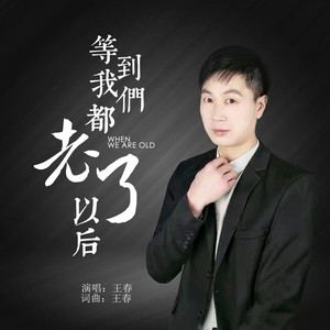 王春 - 等到我们都老了以后