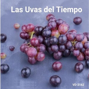 Coloquio Bajo la Palma