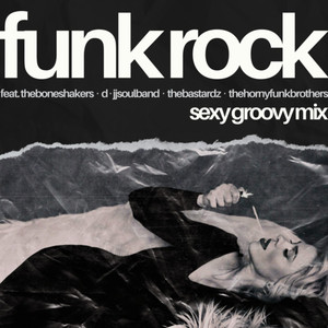 Funk Rock:Sexy Groovy Mix (Explicit)