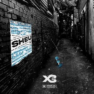 X3 - SHEU (Explicit)