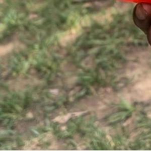 Red Glaqiers (Explicit)