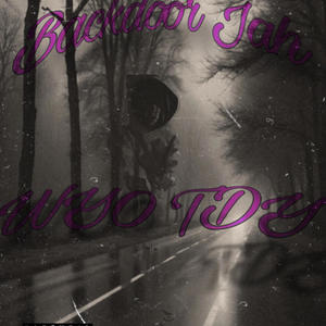 WE BACK FREESTYLE (feat. Lul Vel)