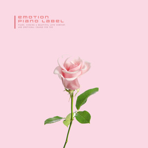 봄비가 내리면 (When Spring Rain Comes Down)