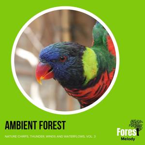 Ambient Forest - Nature Chirps, Thunder, Winds and Waterflows, Vol. 3