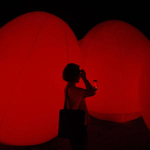 Reason 理由 (feat. Forestry)