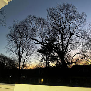 Nice Livin (feat. Tyshawn) (Explicit)