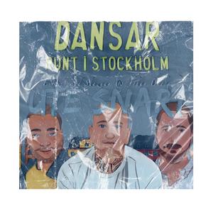 DANSAR RUNT I STOCKHOLM (feat. Shazaam & Johan öberg) [Explicit]