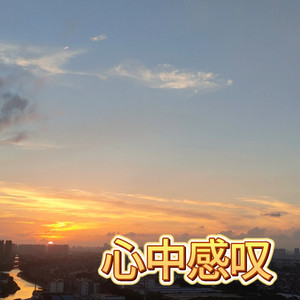 心中感叹