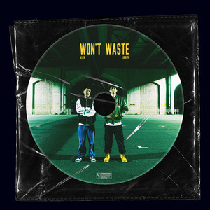 Won't Waste (feat. Allen) [Explicit]