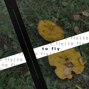 To Fly