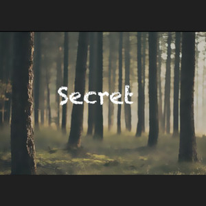 Secret (piano)