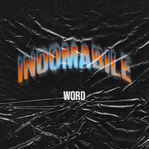 INDOMABILE